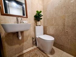 Zion Road (D10), Condominium #595213121